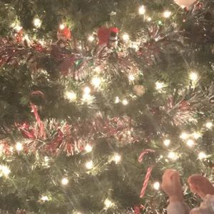 Meet your Posher, Jenna